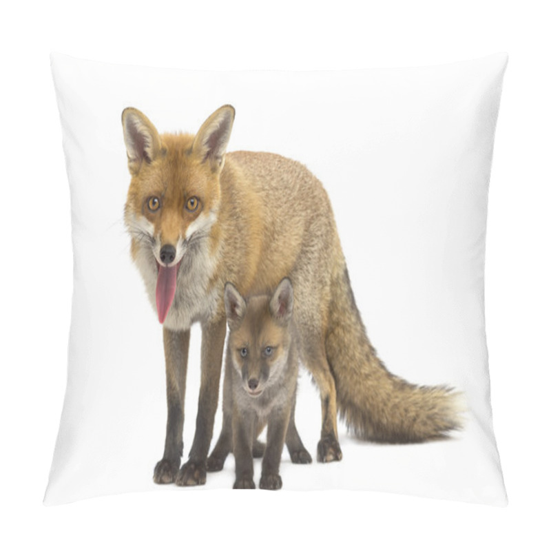 Personality  Mother Fox With Her Cub (7 Weeks Old) In Front Of A White Backgr Pillow Covers