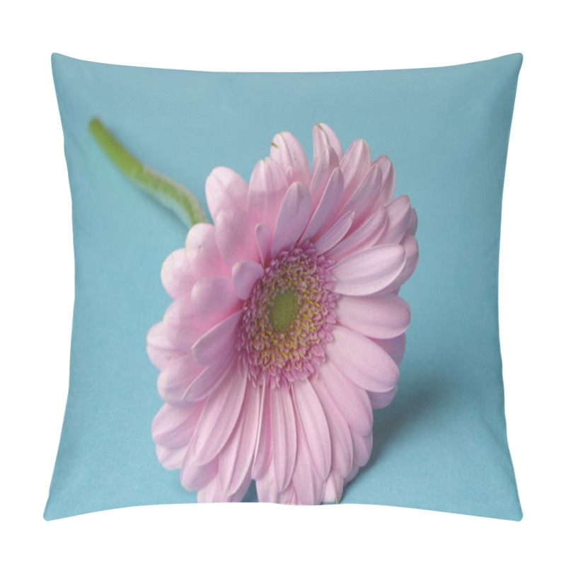 Personality  Gerbera Flower Petals, Flora Pillow Covers