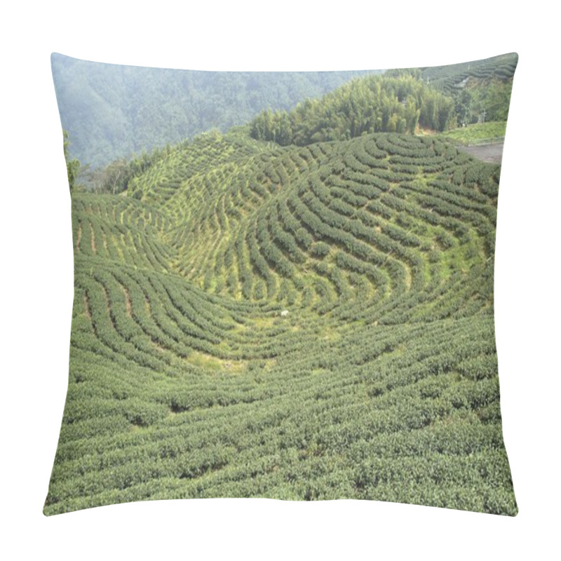 Personality  Tea Field Pillow Covers