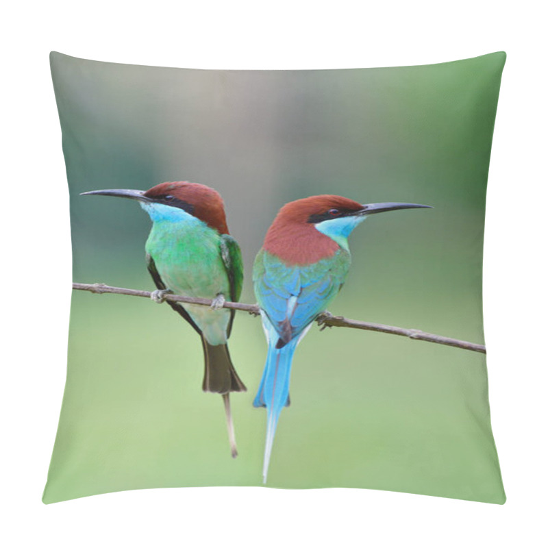 Personality  Fascinated Nature When Pair Of Birds Perching Near Each Other During Breeding Season, Exotic Animal In Tropical Country Pillow Covers