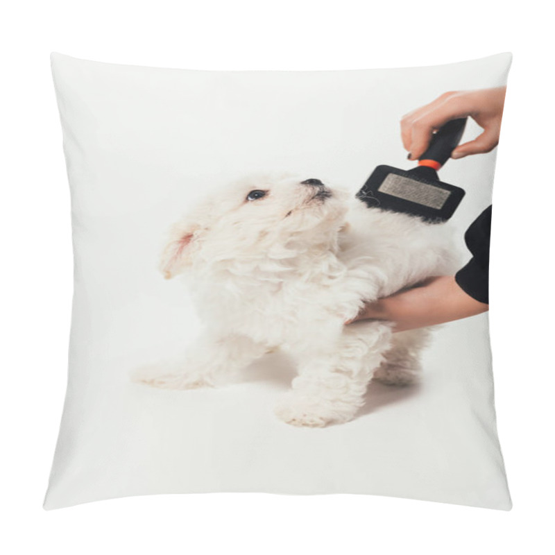 Personality  Cropped View Of Woman Brushing Hair Of Havanese Puppy On White Background  Pillow Covers