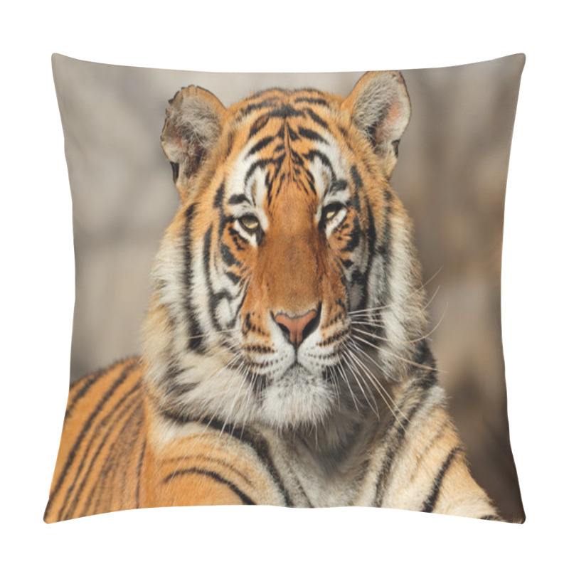 Personality  Bengal Tiger Portrait Pillow Covers