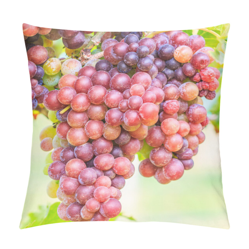 Personality  Vineyard Bunch Of Grapes Pillow Covers