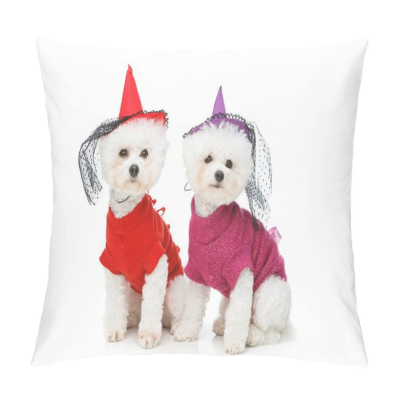 Personality  Halloween Bichon Frise Dogs Pillow Covers