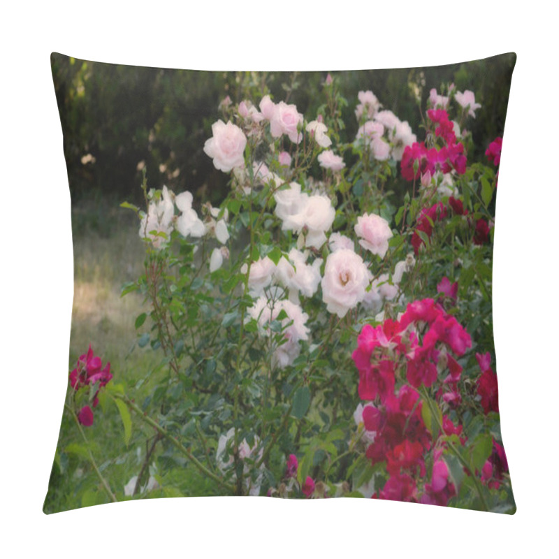 Personality  Blooming Pink Roses Flowers Pillow Covers