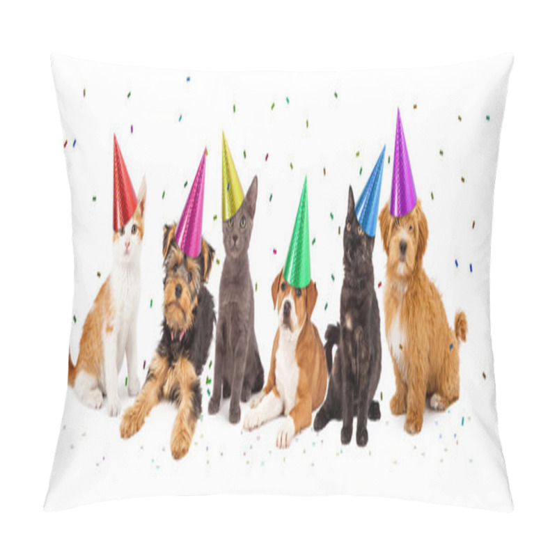 Personality  Puppies And Kittens With Confetti Pillow Covers