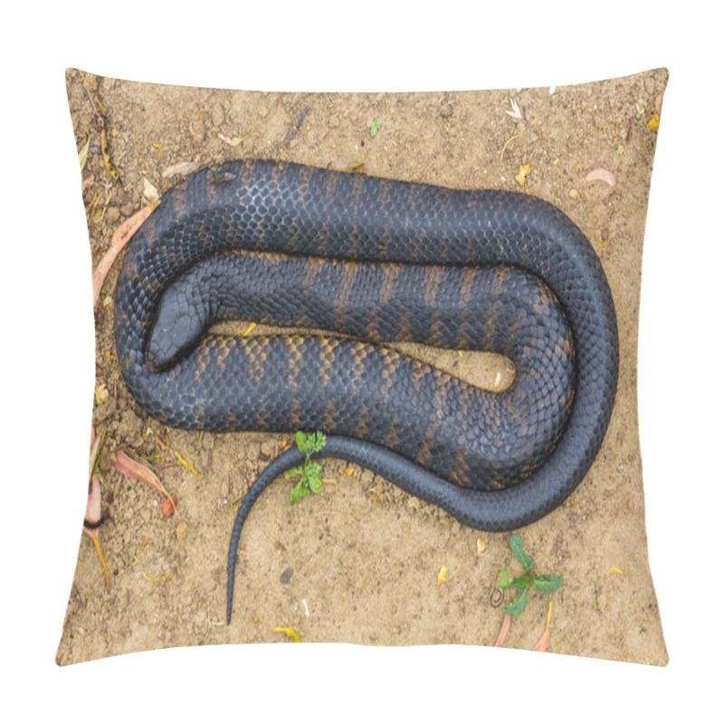 Personality  Coiled Yellow And Black Australian Tiger Snake  Pillow Covers