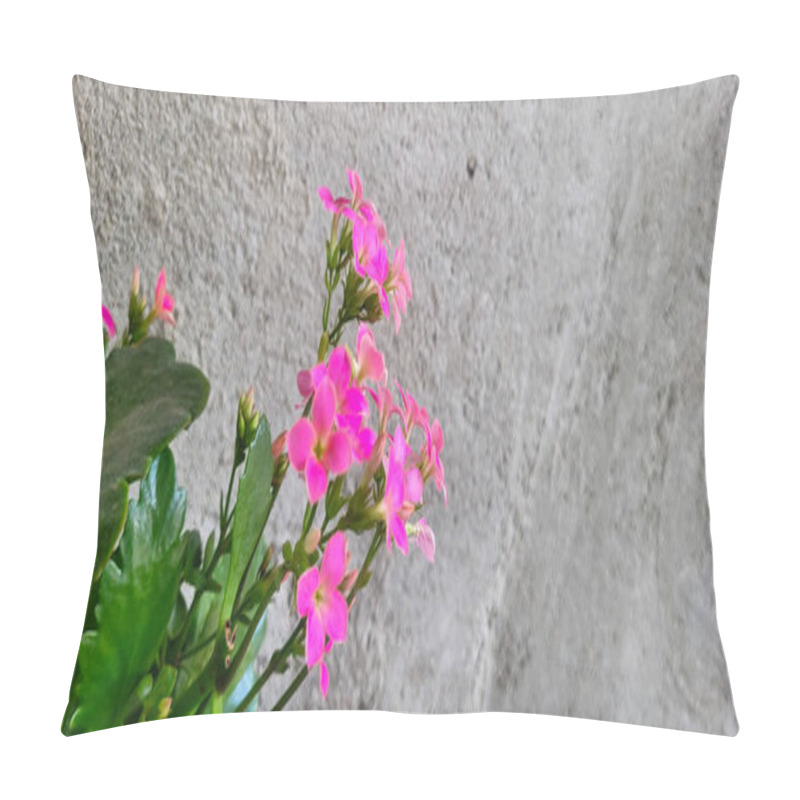 Personality  Pink Flowers With Rustic Wall Background Pillow Covers