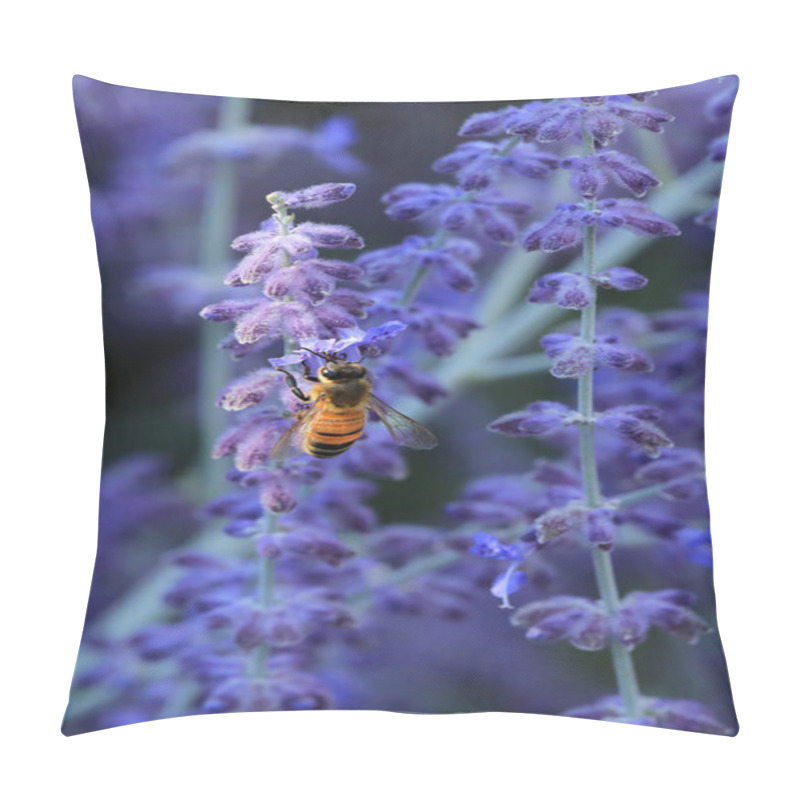 Personality  A Vertical View Of Western Honey Bee, Apis Mellifera, On Russian Sage, Perovskia Atriplicifolia Pillow Covers