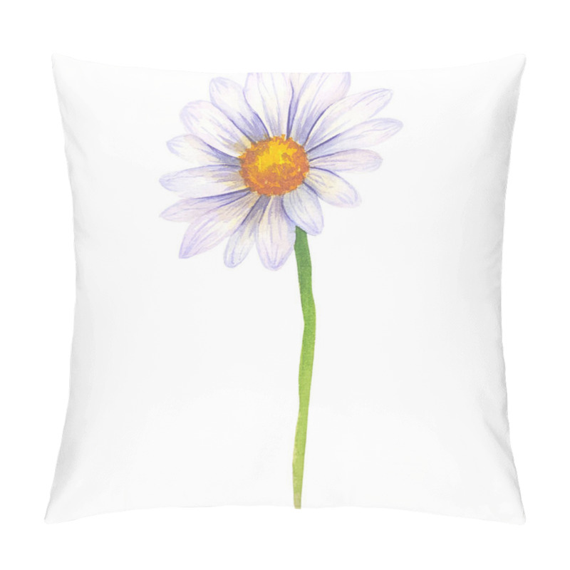 Personality  Watercolor Daisy Hand Painted Illustration, Watercolour Daisy Isolated On White Background. Watercolor Floral. Botanical Drawing. Chamomile Watercolor. Pillow Covers