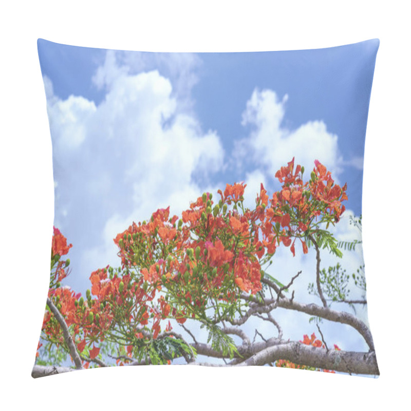 Personality  Red Royal Poinciana Flowers Bloom Pillow Covers