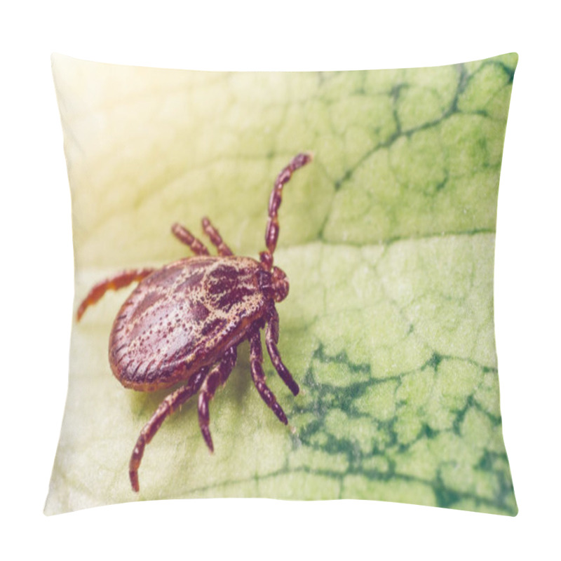 Personality  A Dangerous Parasite And Infection Carrier Mite Sitting On A Green Leaf Pillow Covers