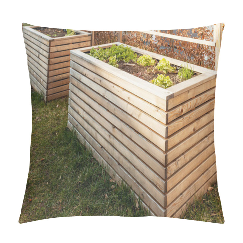 Personality  Community Garden. Raised Garden Bed With Plants In Vegetable Community Garden. Gardening High Warm Wooden Garden Bed For Greenery. Pillow Covers