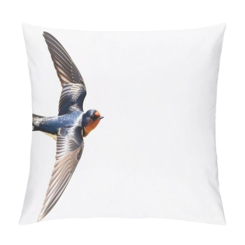 Personality  Barn Swallow - Hirundo Rustica - Is The Most Widespread Species Of Swallow In The World, Occurring On All Continents, With Vagrants Reported Even In Antarctica Isolated On White Background.  In Flight Pillow Covers