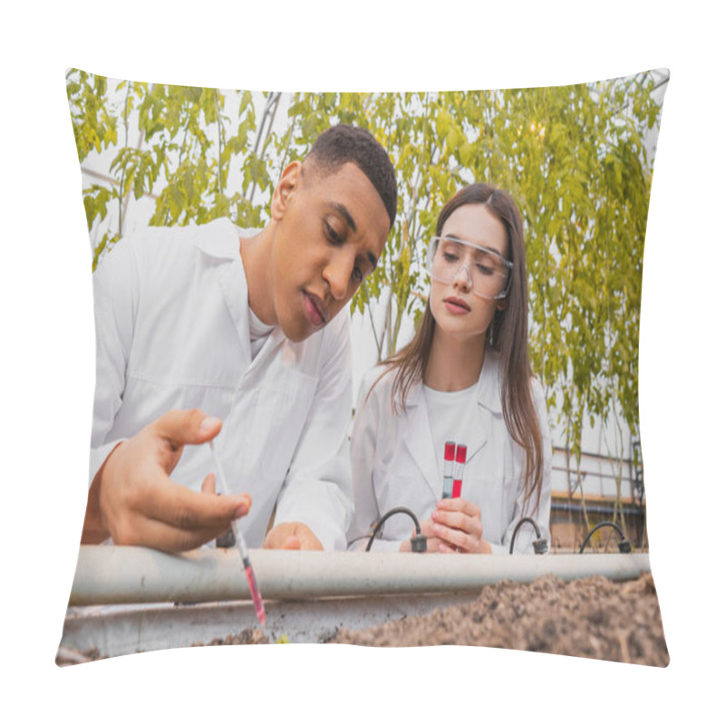 Personality  African American Laboratory Assistant Taking Analysis Of Ground Near Colleague With Test Tubes In Greenhouse  Pillow Covers