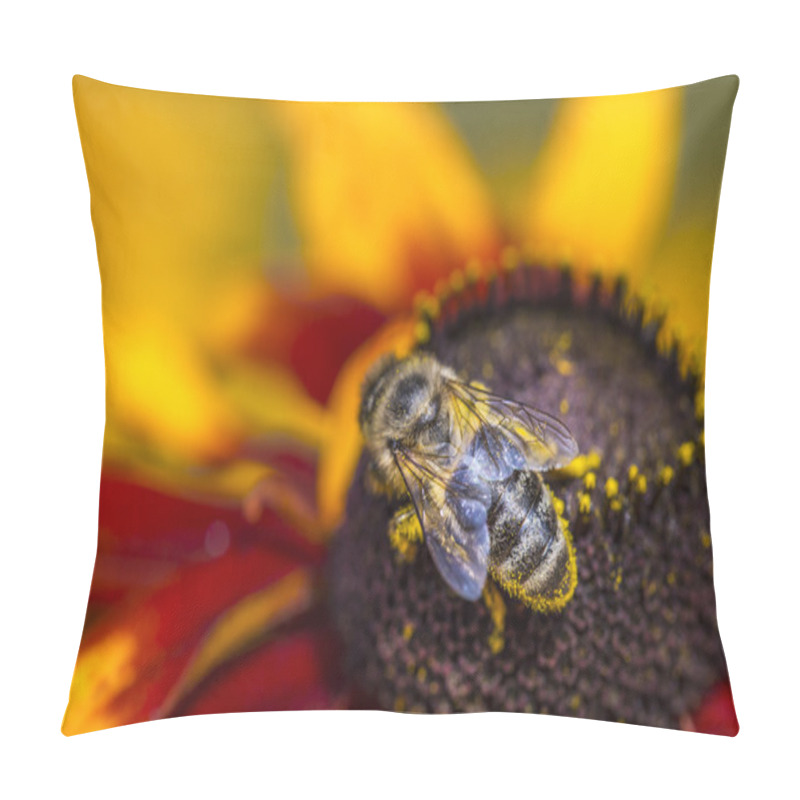 Personality  Close-up Photo Of A Western Honey Bee Gathering Nectar And Spreading Pollen On A Young Autumn Sun Coneflower (Rudbeckia Nitida).  Pillow Covers