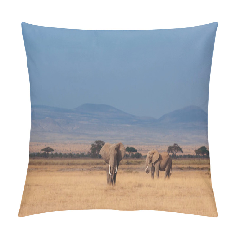 Personality  Two Elephants On Dried Grass Field Pillow Covers