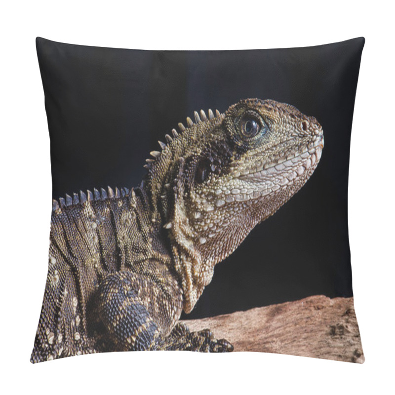 Personality  Very Close Up Photograph Of An Australian Water Dragon. It Shows The Head And Front Part Of The Body Against A Black Background. The Reptile Faces From Left To Right Pillow Covers