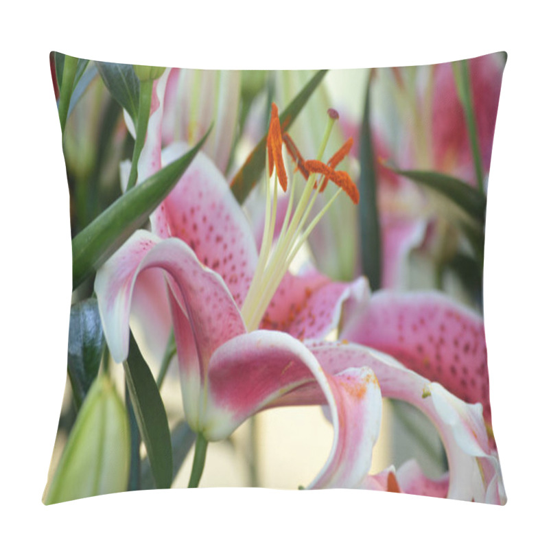 Personality  Speckled Lily In The Garden Pillow Covers