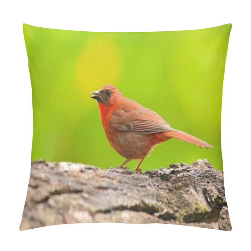 Personality  Red-throated Ant-Tanager Pillow Covers