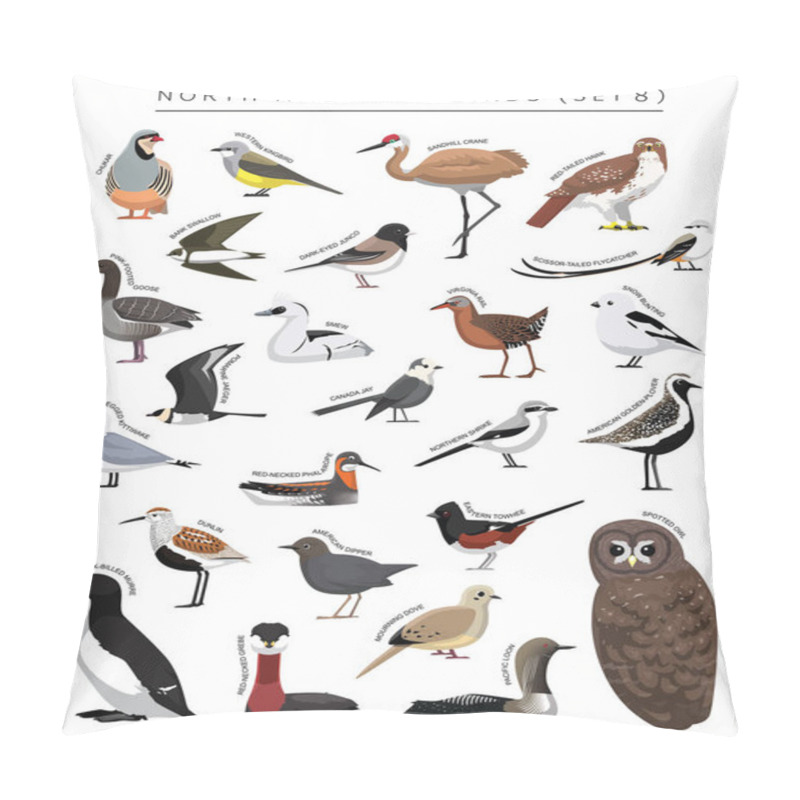 Personality  North American Birds Set Cartoon Vector Character 8 Pillow Covers