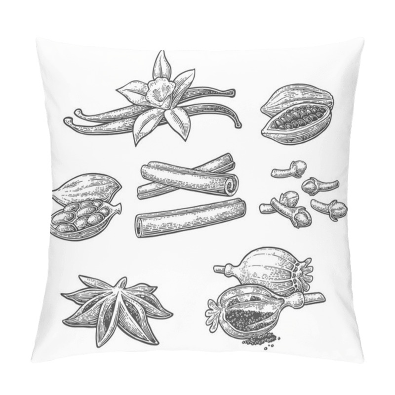 Personality  Set Of Spices. Anise, Cinnamon, Cocoa, Vanilla, Poppy Pillow Covers