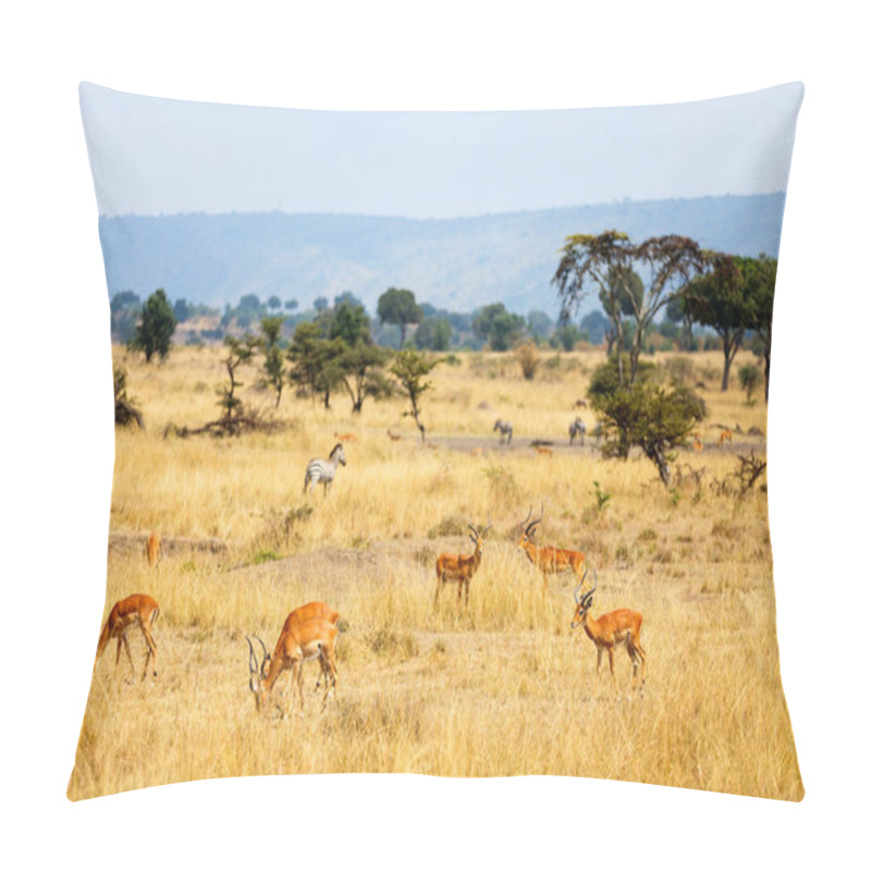 Personality  Impalas In Kenya Pillow Covers