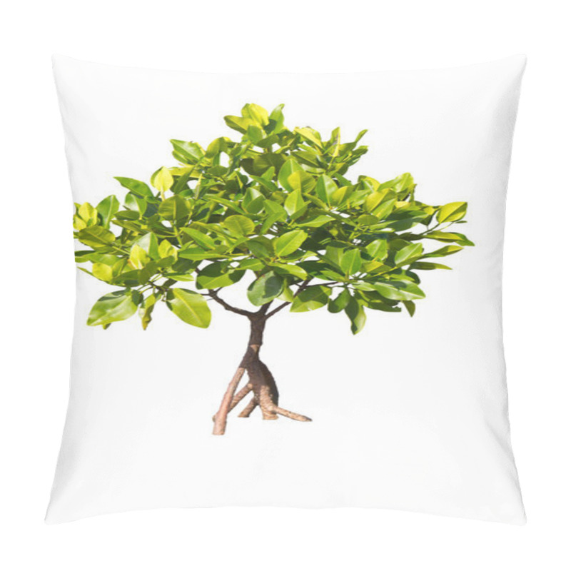 Personality  Isolated Young Mangrove Tree Pillow Covers