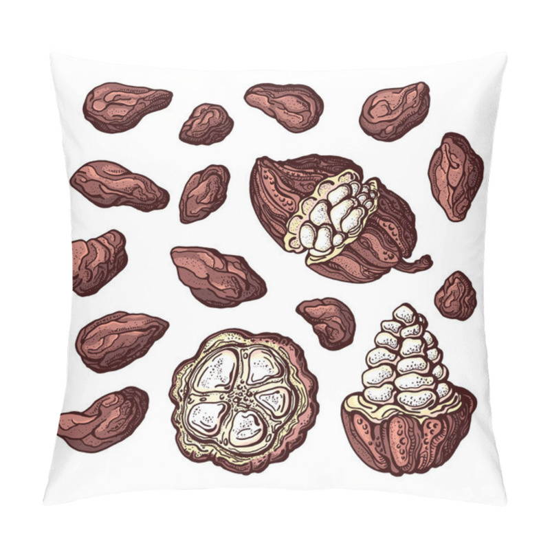 Personality  Cocoa Set. Vector Ingredient. Bean, Fruit In Cut  Pillow Covers