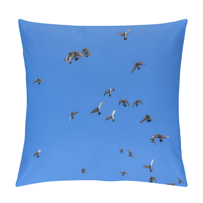 Personality  Pigeons Fly Against Background Of Bright Blue Cloudless Sky. Pillow Covers