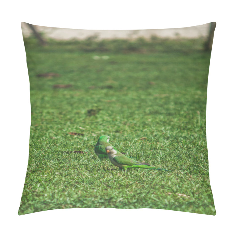 Personality  A Caturrita Bird (Myiopsitta Monachus) Perched On Lush Green Pasture, Enjoying The Peaceful Surroundings Under The Open Sky. Pillow Covers