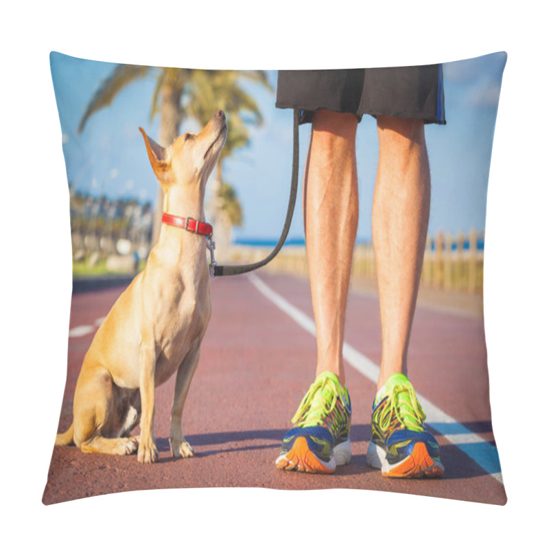 Personality  Dog And Owner Walking  Pillow Covers