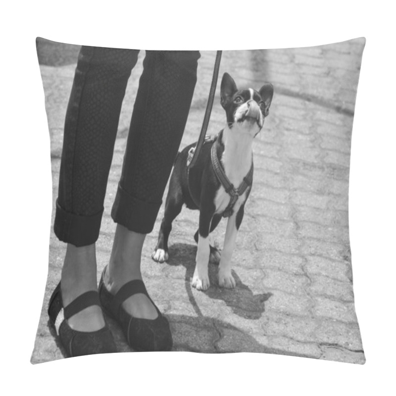 Personality  Puppy Love Pillow Covers