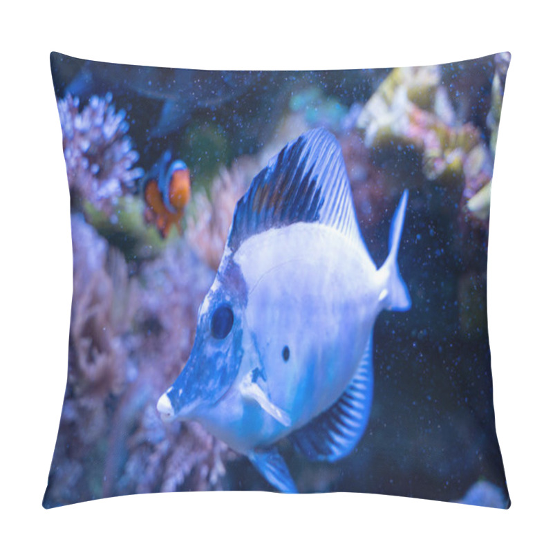 Personality  White Aberrant Scopas Tang(Zebrasoma Scopas) Very Rare Marine Fish Pillow Covers