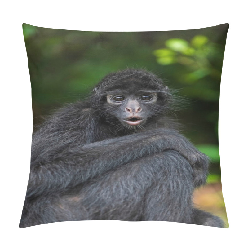 Personality  Spider Monkey Close-Up In The Amazon Rainforest, Brazil. Pillow Covers