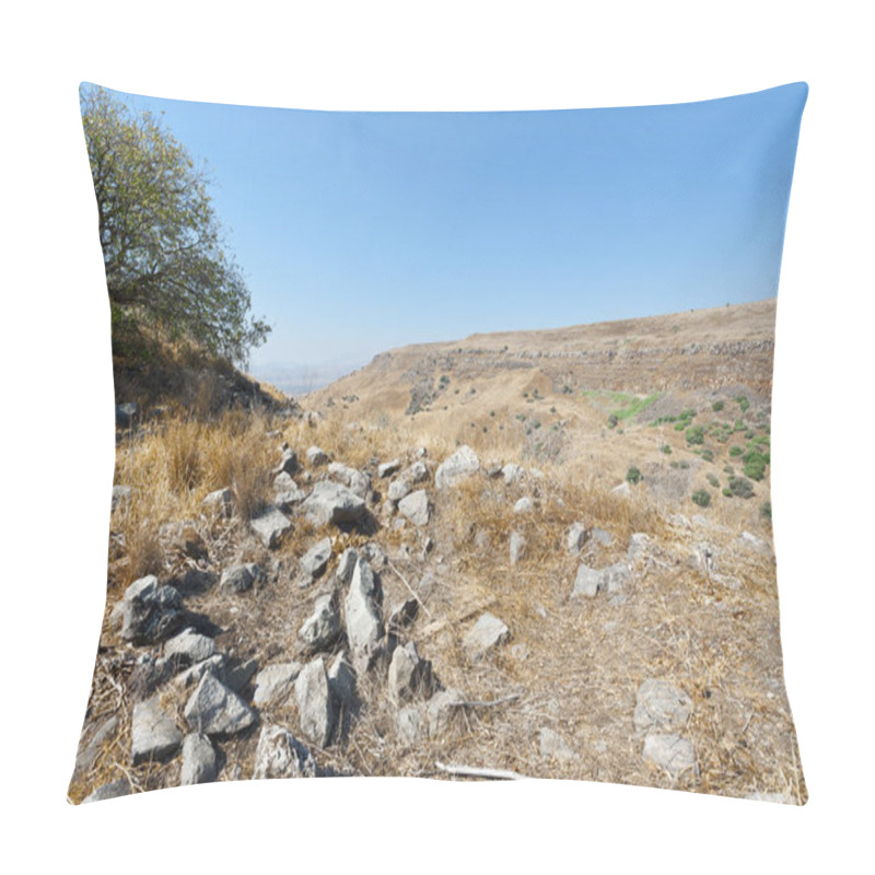 Personality  Gamla Nature Reserve Located In The Golan Heights In Israel. View Of The Archaeological Sites Pillow Covers