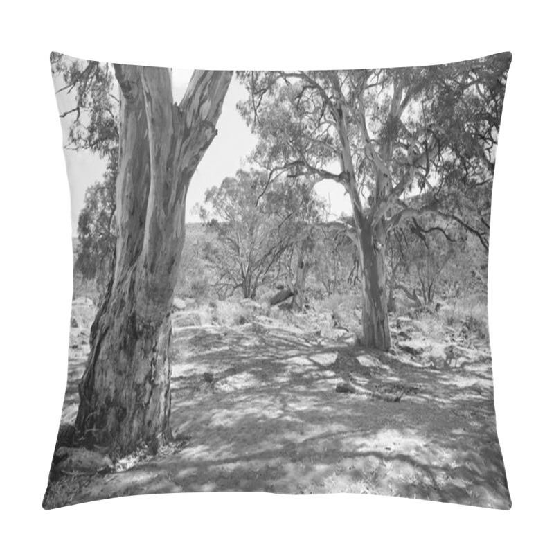 Personality  Australian Outback Oasis Pillow Covers