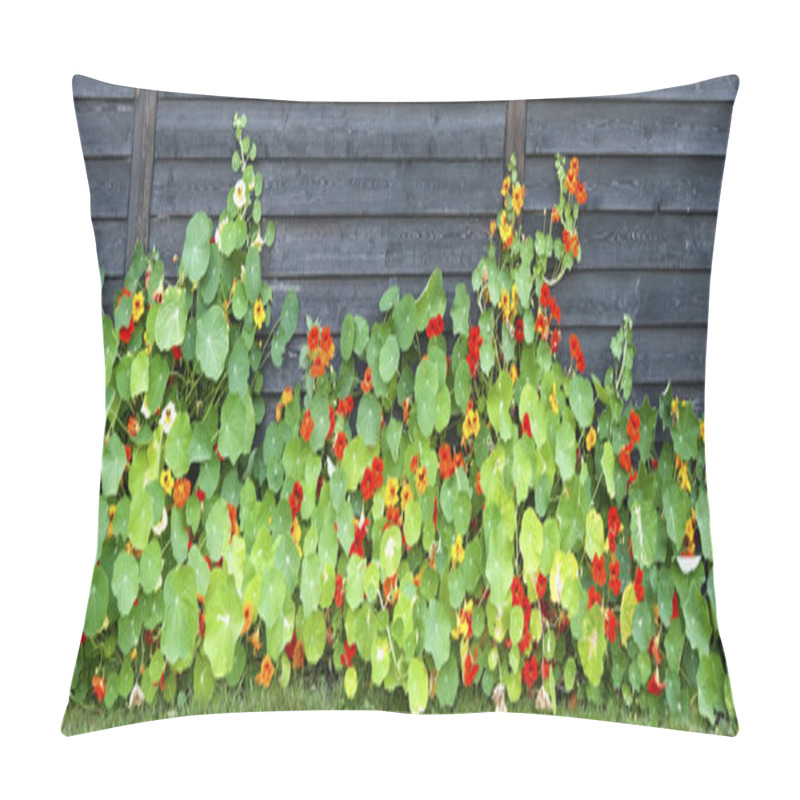 Personality  Garden Nasturtium At A Fence Pillow Covers