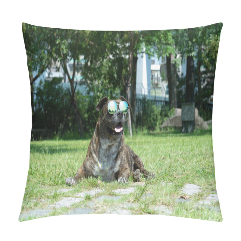 Personality  Happy Dog With Sunglasses, Pit Bull, Amstaff, Stafford In The Park. Pillow Covers