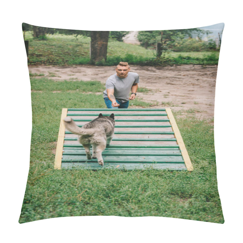 Personality  Dog Trainer With Obedient Husky On Dog Walk Obstacle  Pillow Covers