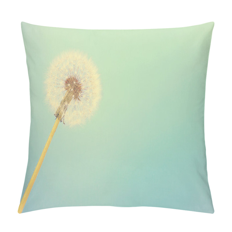 Personality  Dandelion On Blue Background Pillow Covers