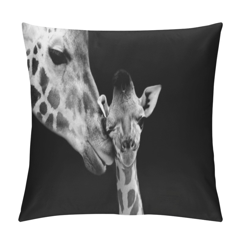 Personality  Mom And Baby Giraffe Face Black Background Pillow Covers