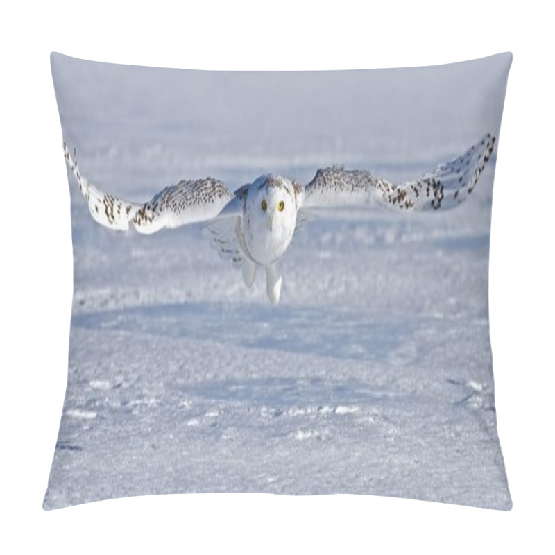 Personality  Snowy Owl (Bubo Scandiacus) Hunting Over A Snow Covered Field In Canada Pillow Covers