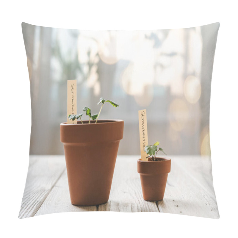 Personality  Seeding And Potted Plant Pillow Covers