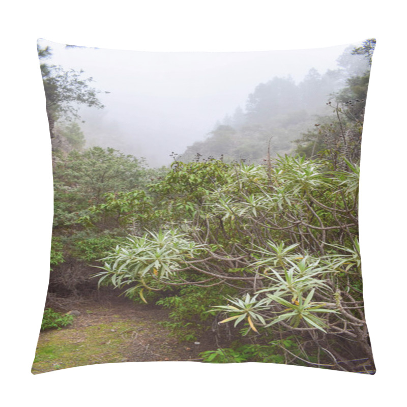 Personality  The Rainy Path Of The Beautiful Enchanted Forest Park Of Anaga, Tenerife Island. Spanish Rainforest In Canary Islands, Spain. Path In Anaga Rainforest. Rural Park Anaga. Pillow Covers