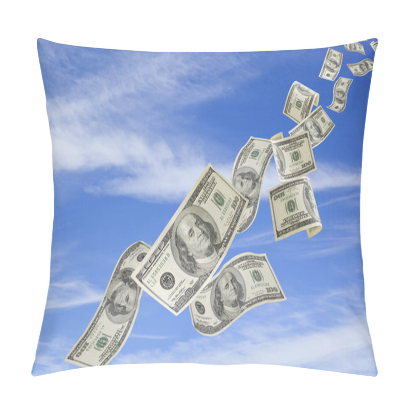 Personality  Money Falling From Sky Pillow Covers