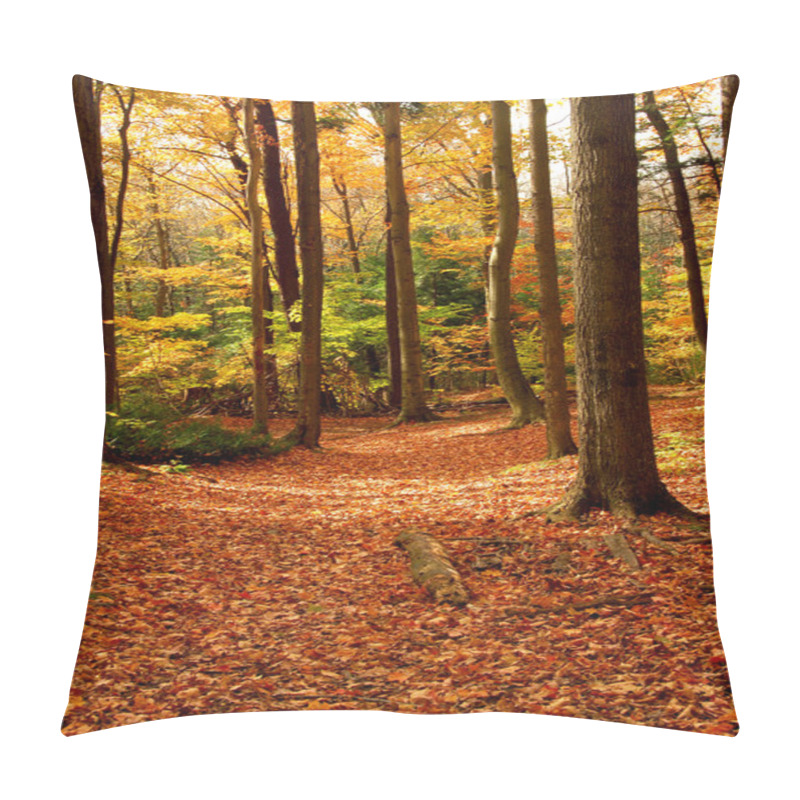 Personality  Fall Forest Landscape Pillow Covers