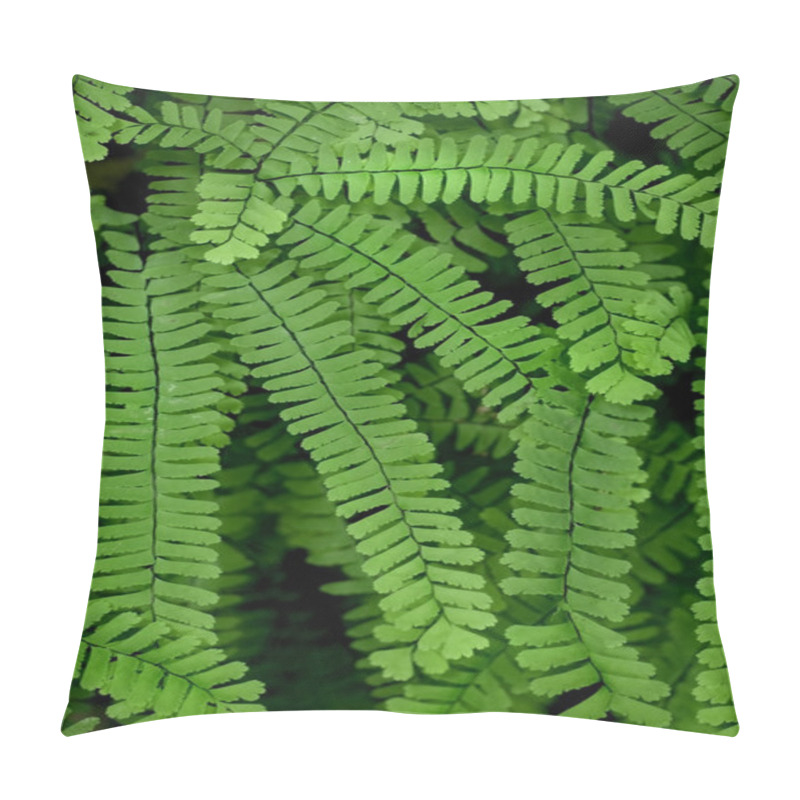 Personality  Maidenhair Fern Pillow Covers