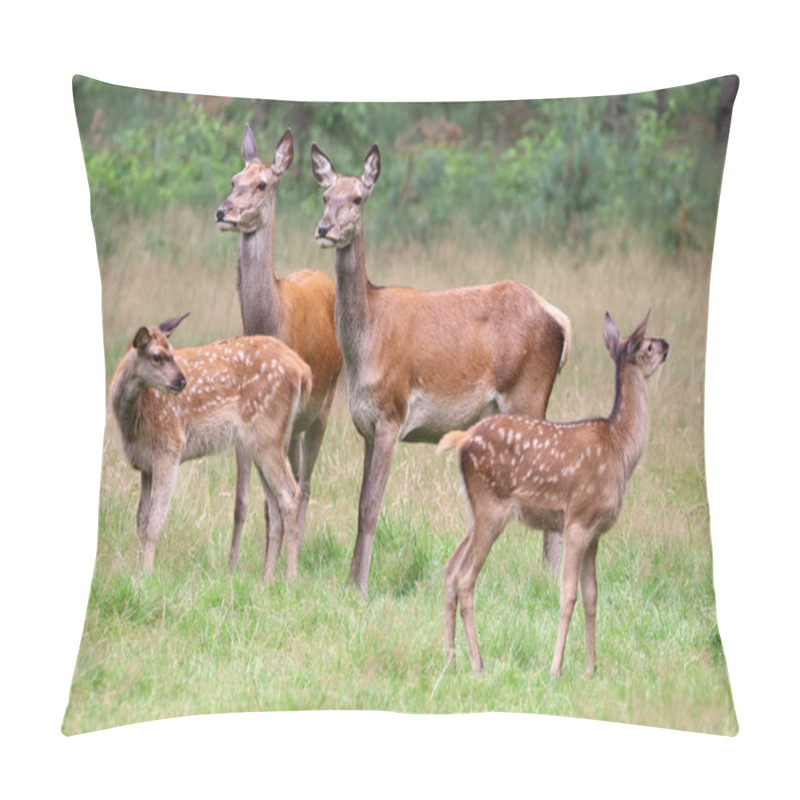 Personality  Red Deers In Forest  Pillow Covers