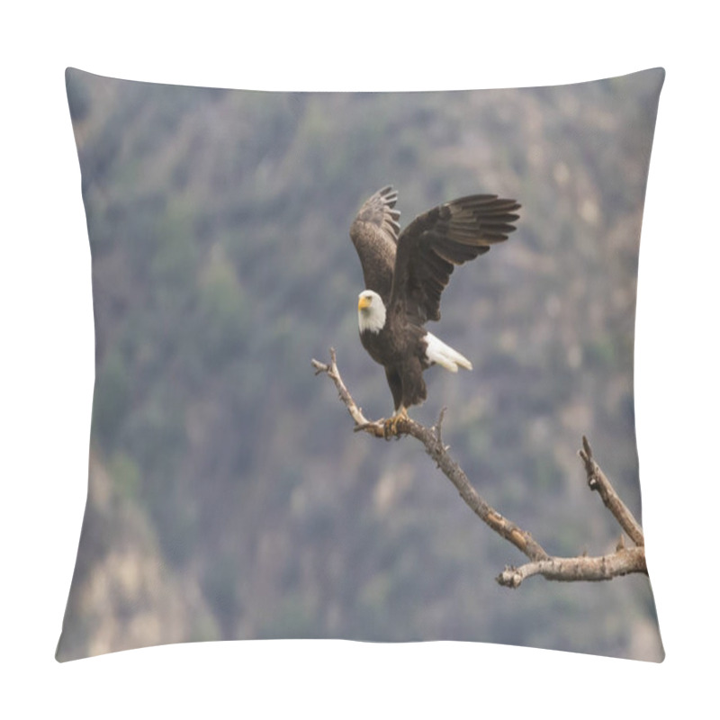 Personality  Eagle In Los Angeles Foothills Pillow Covers